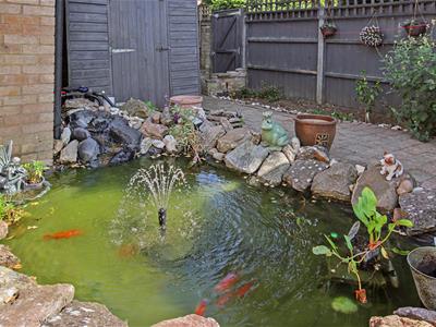 Picture 21